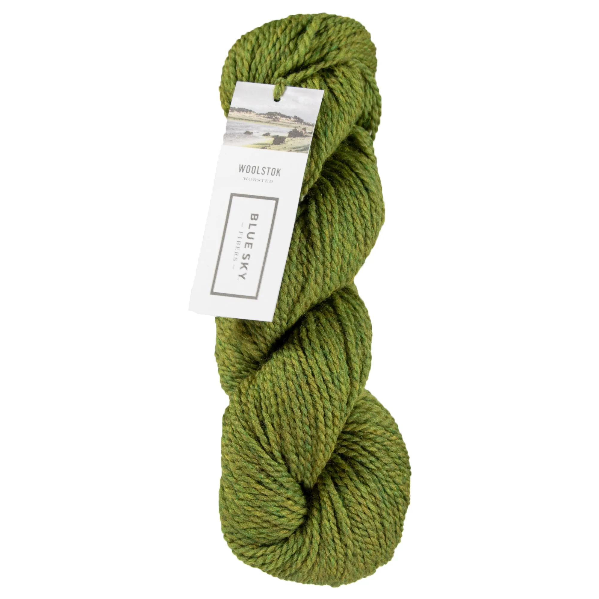 Blue Sky Fibers Woolstok Yarn - 1309 Earth Ivy