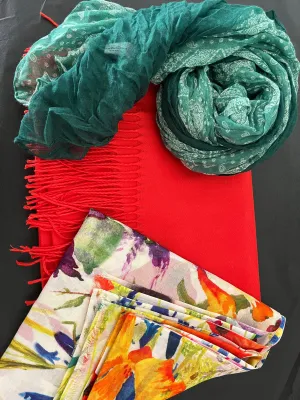 Multicoloured Scarf Bundle